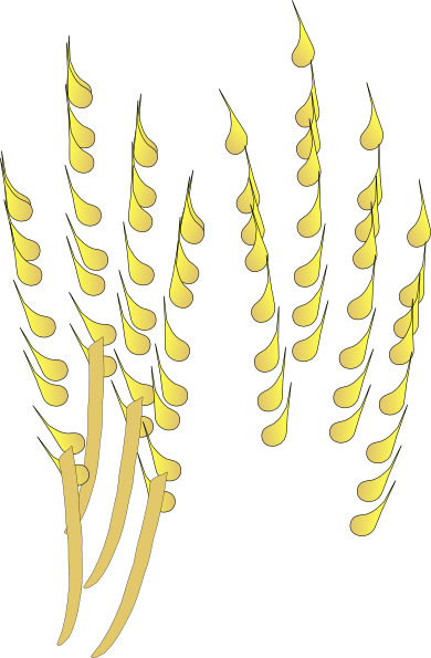 Spic De Grau Png (390x595), Png Download