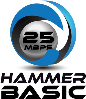 Hammer Fiber's Newest Internet Packages - Hammer Fiber (376x392), Png Download