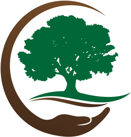 Tree (450x492), Png Download