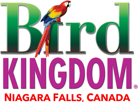 Home - Bird Kingdom (500x379), Png Download