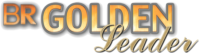 Owned By Baker Ranch/garland Baker & Whitney Davison - Brazos Valley Stallion Station (688x216), Png Download