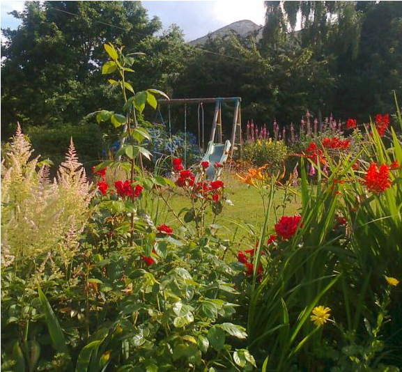 Excellent Lovely House Min Dublin City Centre With - Bottlebush (800x533), Png Download