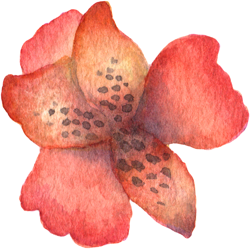 Hand Painted Stick Figure A Red Flower Watercolor Transparent - Watercolor Painting (1024x1020), Png Download