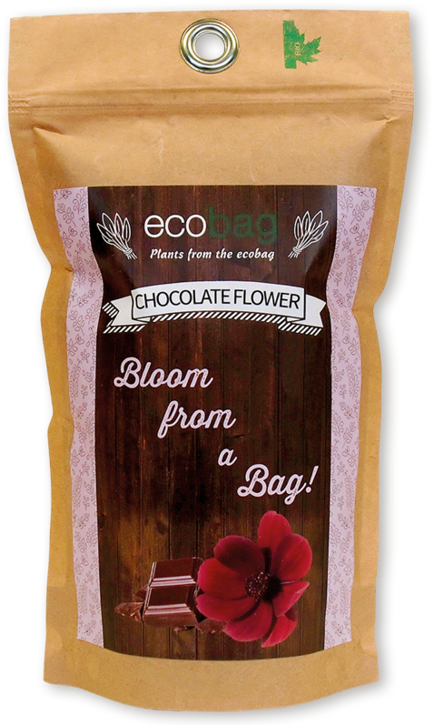 Sunflower - Ecobag Schokoladenblume Saatgut Isda Gmbh (400x400), Png Download
