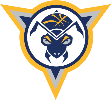 Fort Wayne Mad Ants Logo (500x500), Png Download