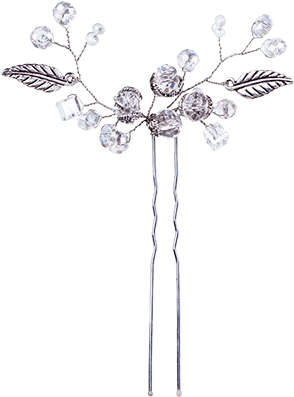 Shop Product - Moth Orchid (1090x1090), Png Download