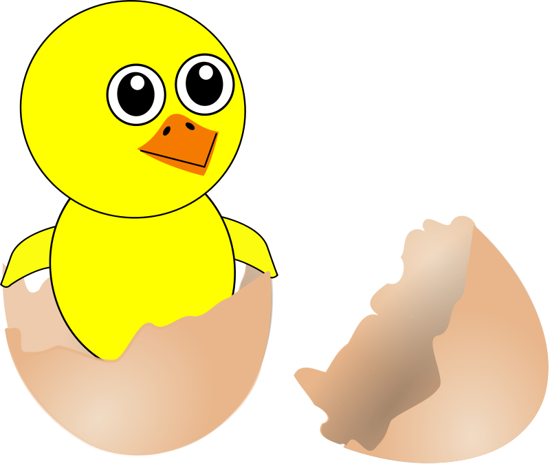 Interesting Cartoon New Chicks From Eggs - Chick Coming Out From Egg (800x674), Png Download