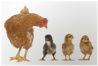 Fred Egg Ice Tray (400x400), Png Download