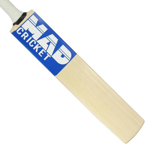 Cricket (500x500), Png Download