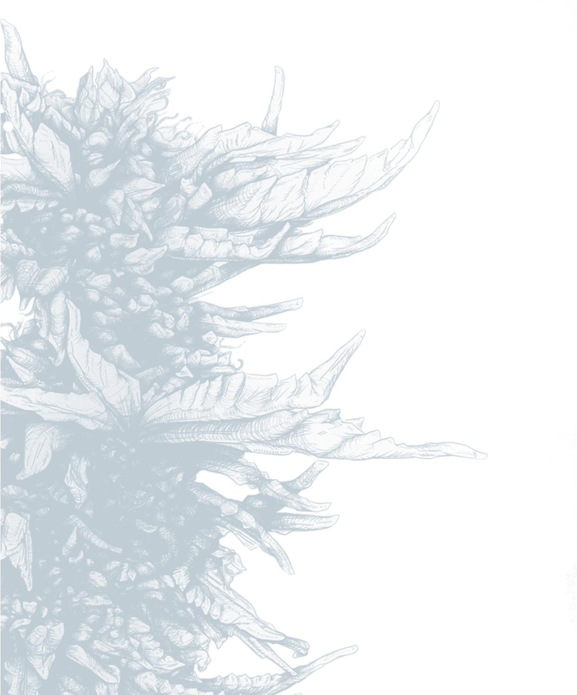 237k Bg Flowers Small 09 May 2018 - Sketch (1162x1438), Png Download