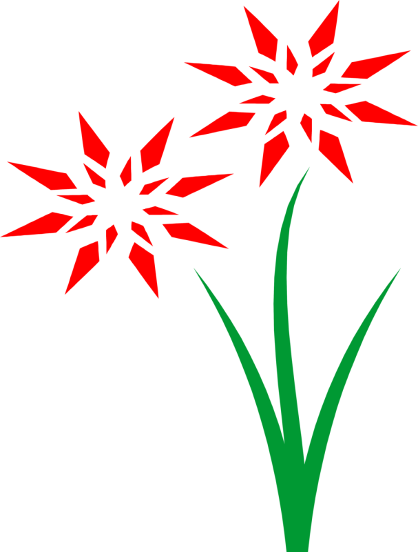 Pin Small Flowers Clipart - Flower Clipart Red Transparent (607x800), Png Download