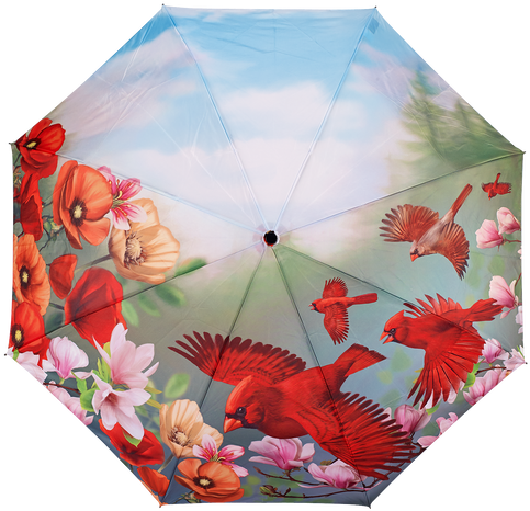 Item - Galleria Auto Folding Umbrella - Cardinals (498x498), Png Download