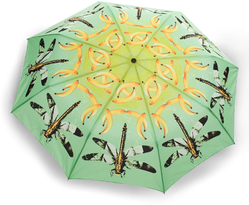 Dragonfly Folding Umbrella Dragonfly Folding Umbrella - La Brella Opvouwbare Paraplu Dragonfly (500x500), Png Download