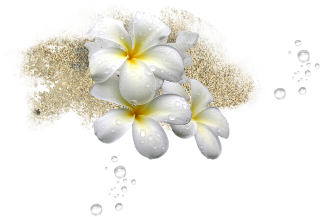 Tropical Images Sand - Portable Network Graphics (650x434), Png Download