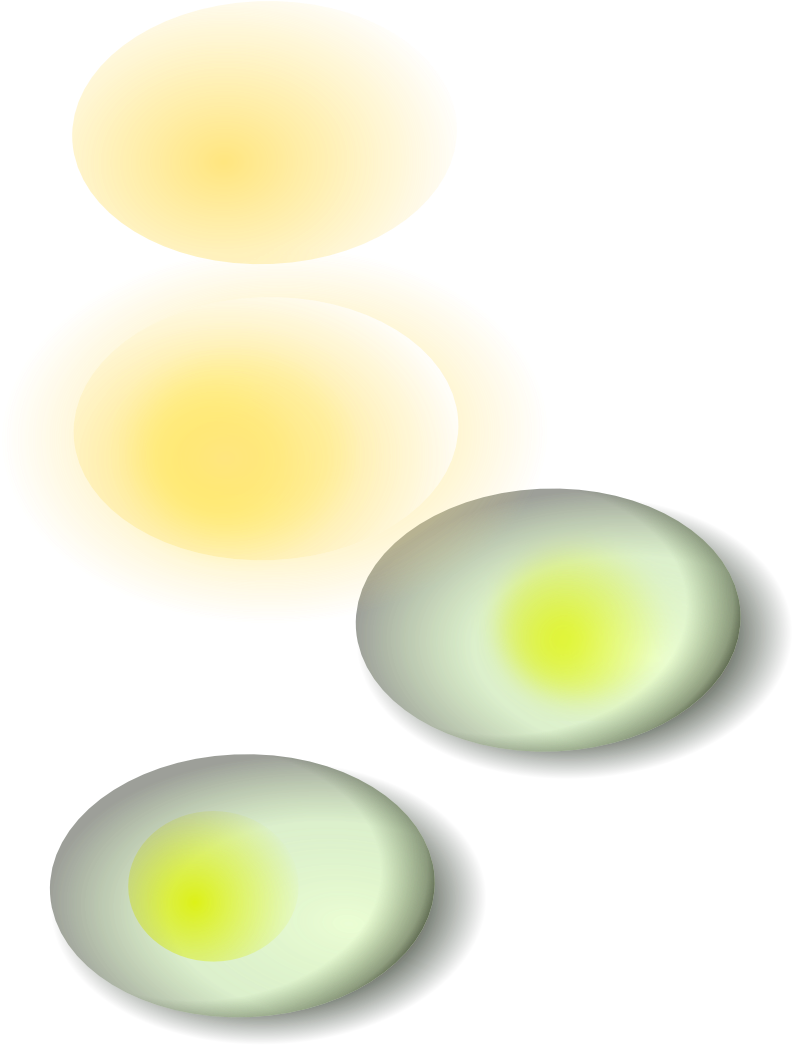 Eggs Drawn Using Inkscape - Learning Curve (855x1080), Png Download