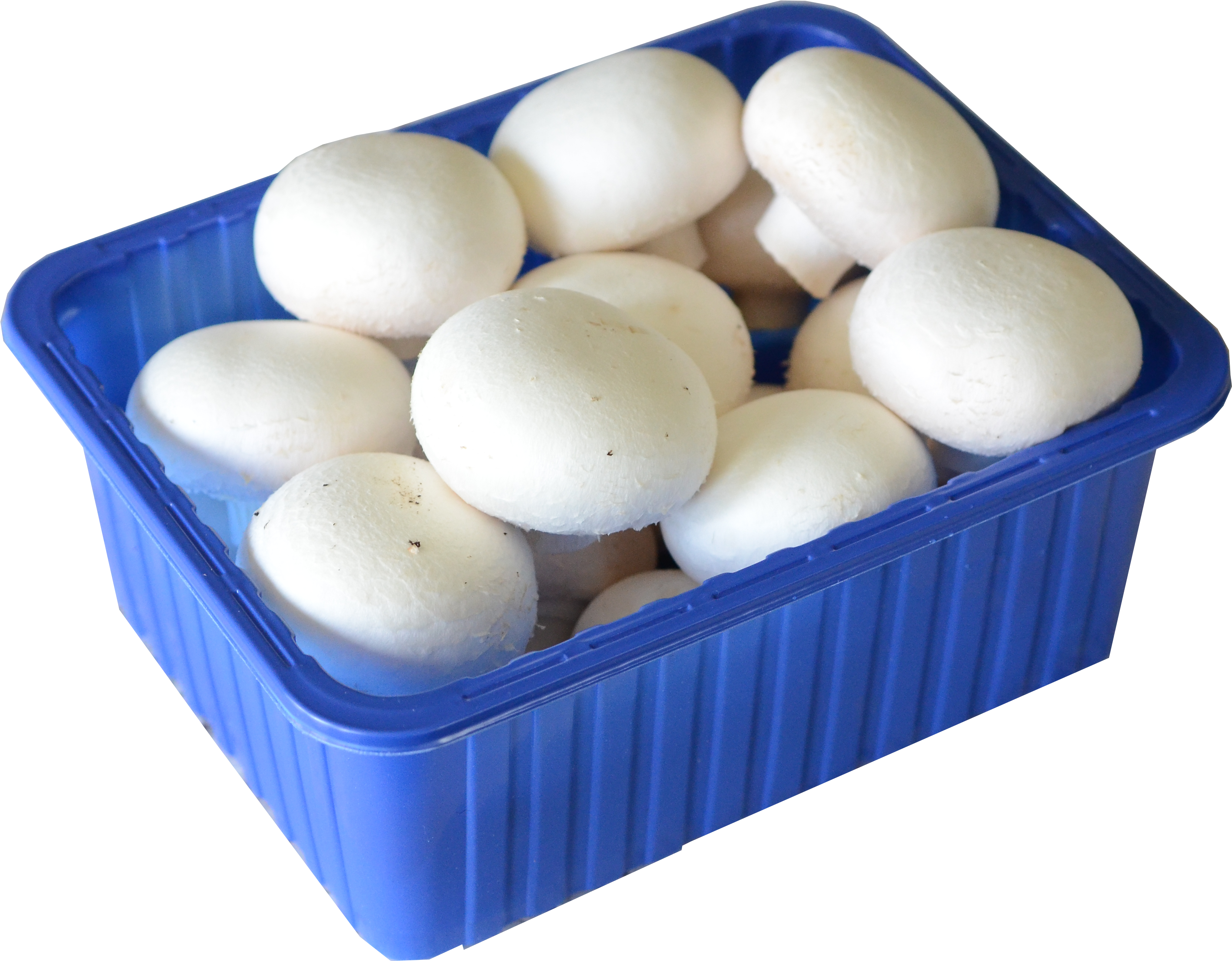 The Importance Of Vitamin D Consumption - Mushroom Punnet (3464x2736), Png Download