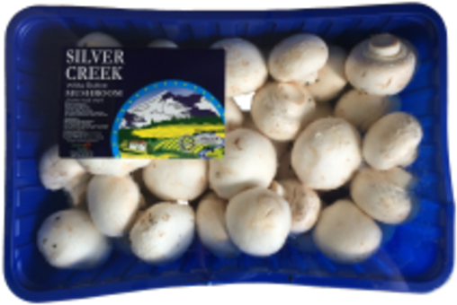 Silver Greek White Button Mushroom 1kg/pack Horeca - Silver (600x451), Png Download