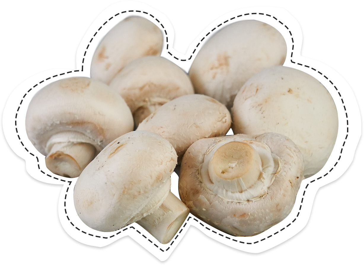 Button Mushroom, The Famous, Back To Its Origins - Champignon Paris (1228x893), Png Download