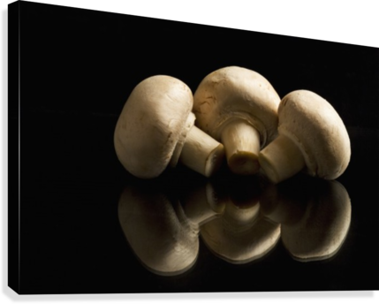 Three Button Mushrooms Backlit And Reflecting On Black - Calgary (429x344), Png Download