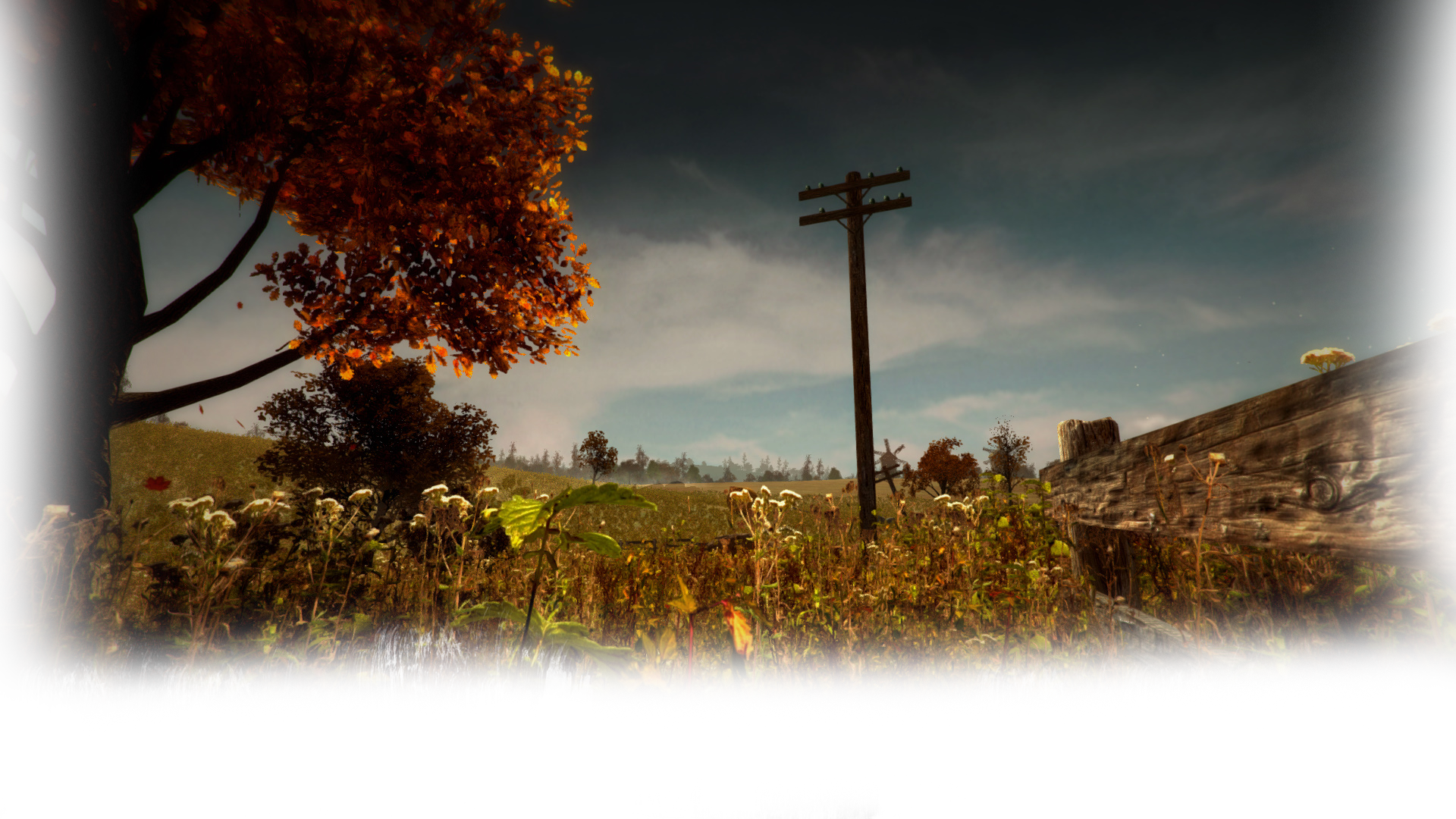 The District Background Russian Field - Tree (1920x1080), Png Download