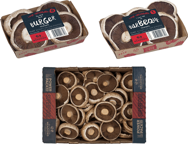 Enjoy Mushrooms As Part Of A Healthy And Varied Diet - Chocolate (634x488), Png Download