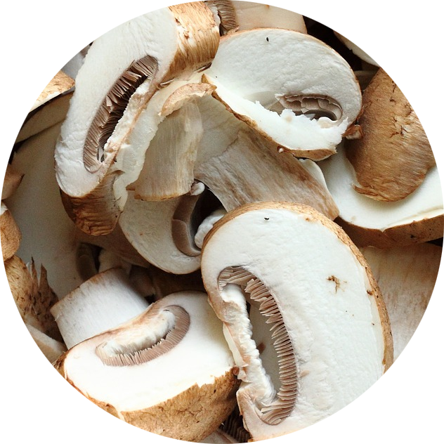 Button Mushrooms - Common Mushroom (632x632), Png Download