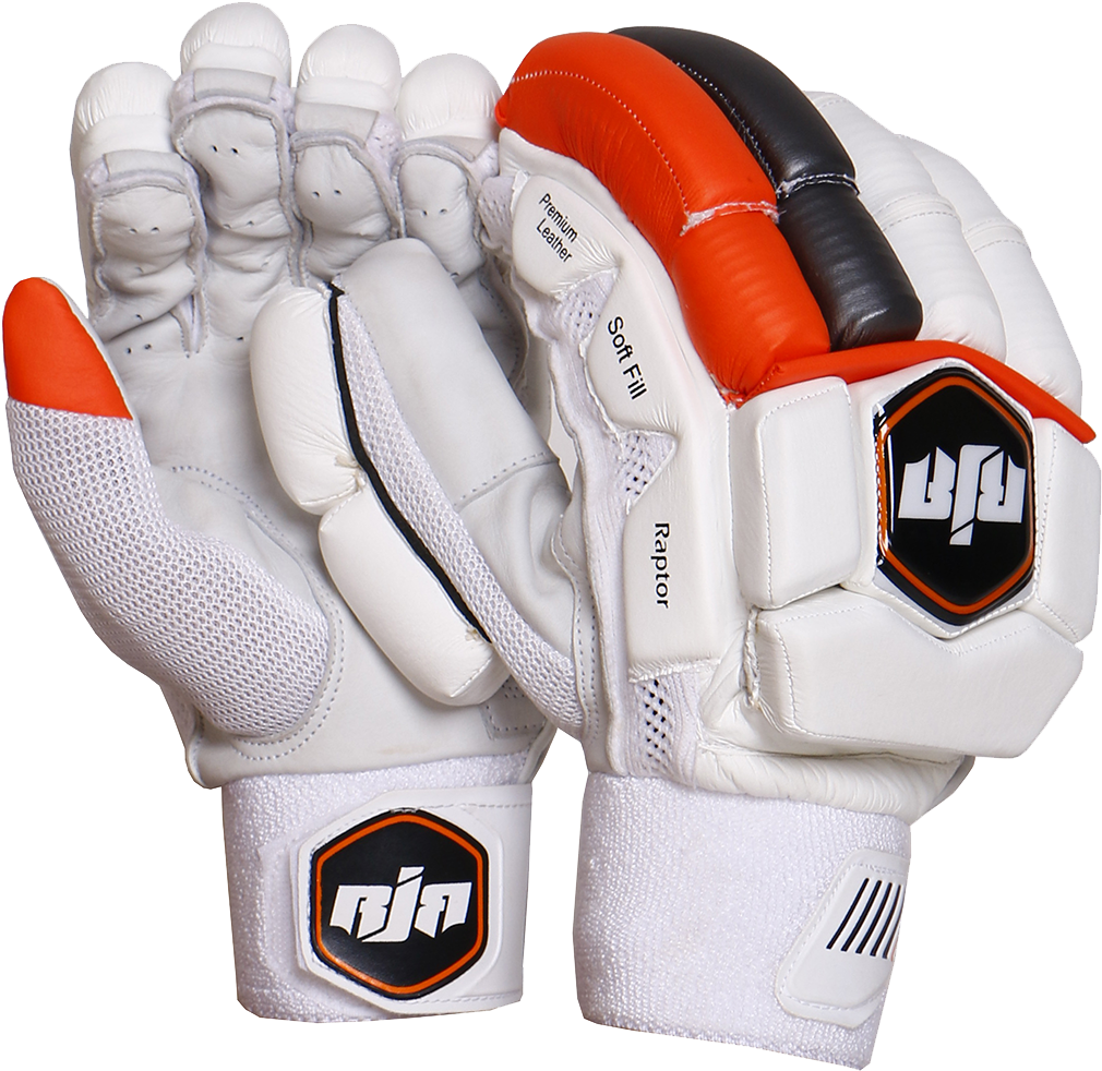 Why - Cricket (1200x1200), Png Download