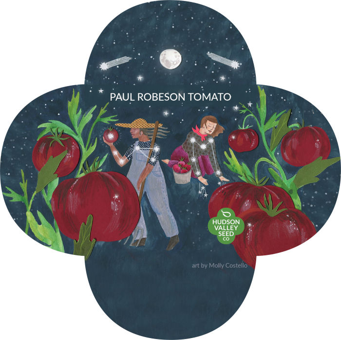 Paul Robeson Tomato (700x699), Png Download