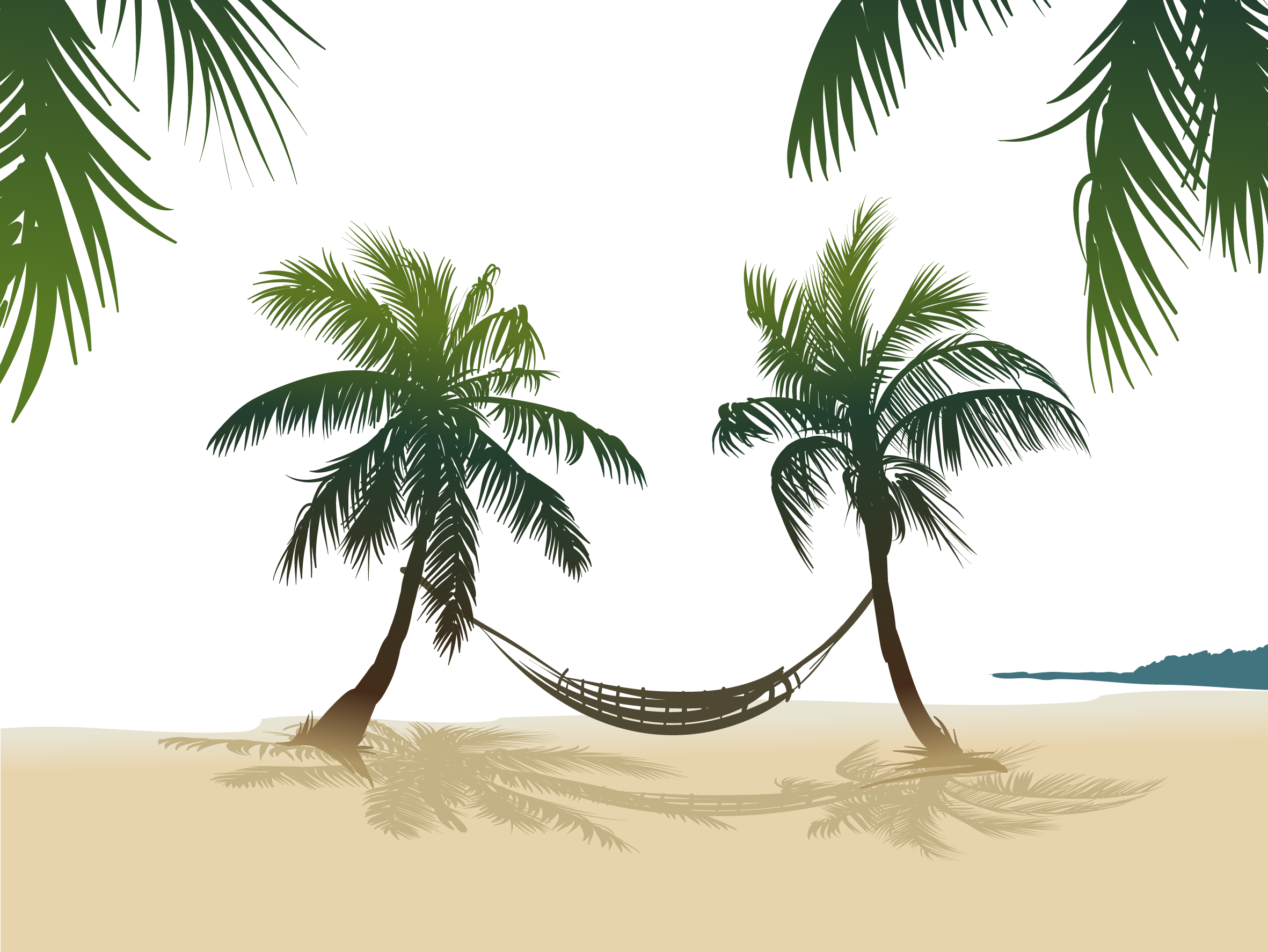 Hammock Between Two Palms Trees (2362x1774), Png Download