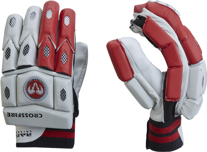 Cricket (900x900), Png Download