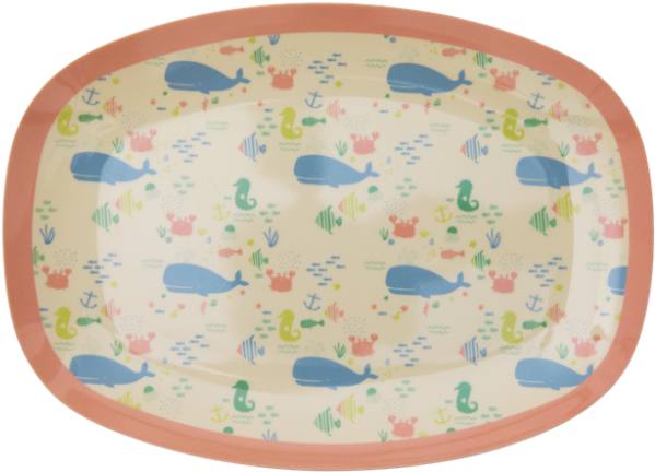 Ocean Life Print Small Rectangular Melamine Plate Rice - Plate (1000x1000), Png Download