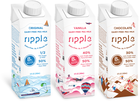 Kids - Ripple - Plant Based Pea Milk Chocolate - 4 Pack (477x345), Png Download