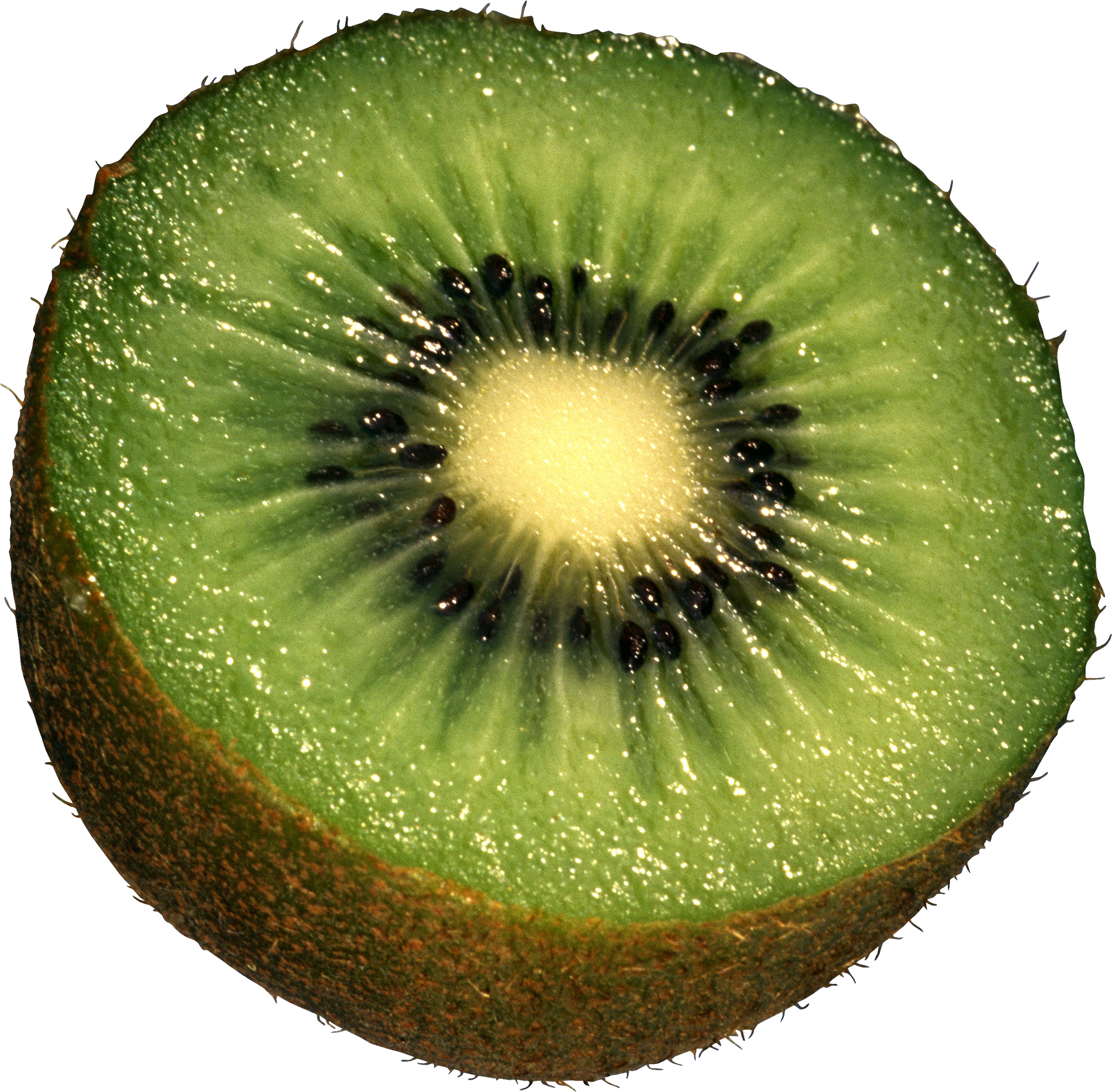 It Is A Commercial Crop In Several Countries, Such - Kiwi Png (1600x1572), Png Download