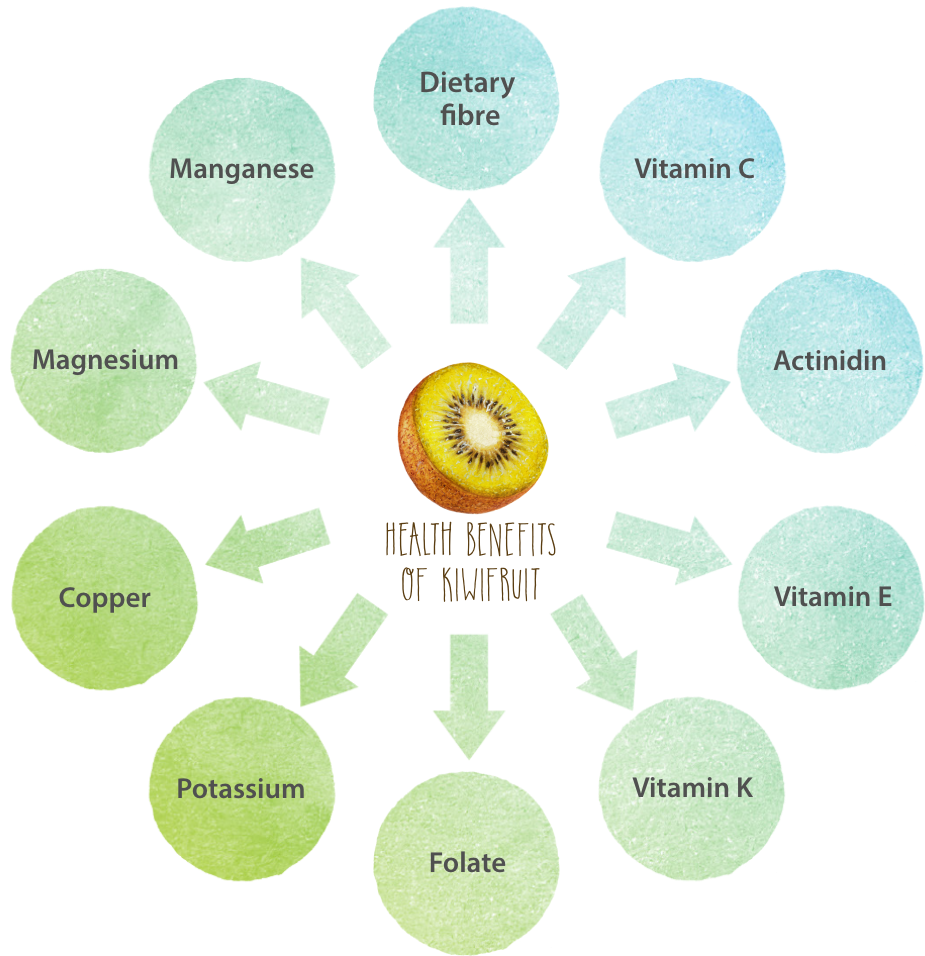 1 - - Living Lab Schéma (962x1000), Png Download