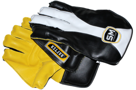 Cricket Wicket Keeping Gloves - Boxing (500x500), Png Download