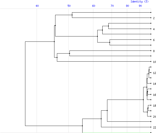Tree For Family S15 - Diagram (800x600), Png Download