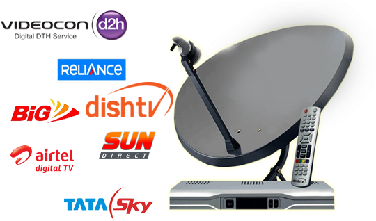 Drumstick Vegetable Png Dish Tv Packages In Sri Lanka Full Size Png Download Seekpng