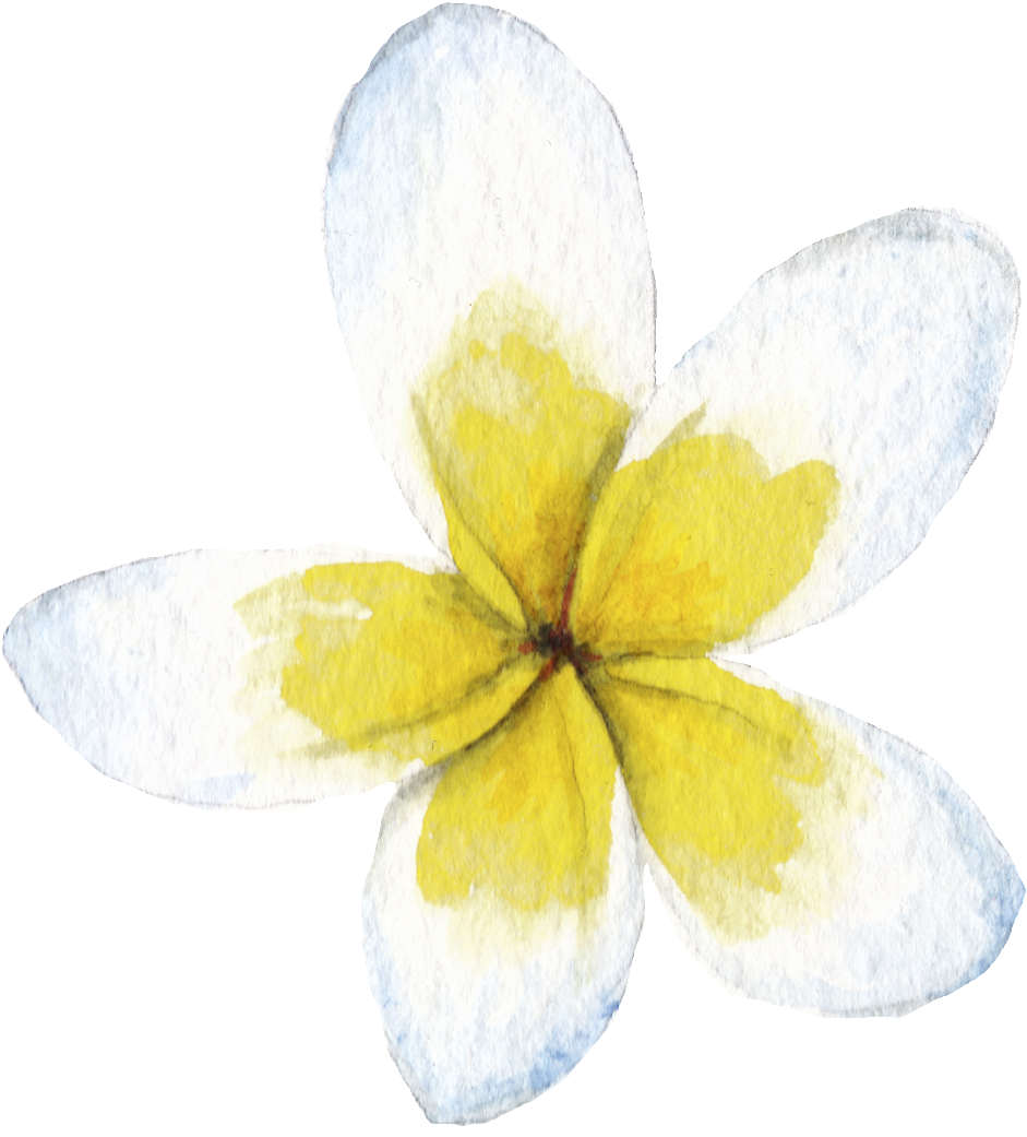 Hand Painted Watercolor Egg Flower Png Transparent - Portable Network Graphics (1024x1087), Png Download