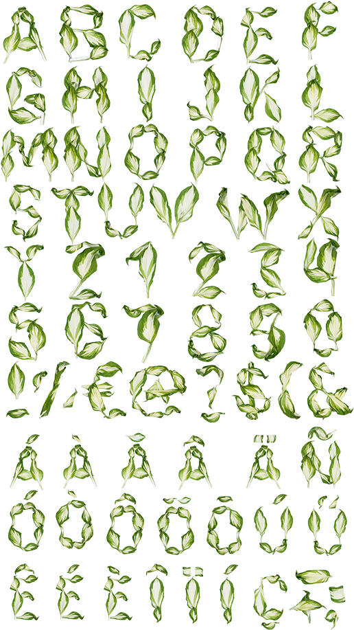 Pipal Leaves Font Alphabet Nature Font Abecedario - Leaves Font Styles (525x946), Png Download