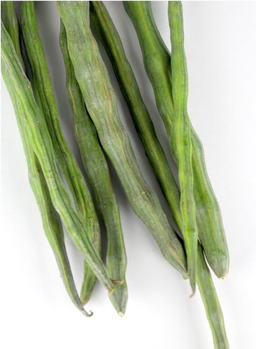 Drumsticks-fw - Drumstick Vegetable (600x600), Png Download