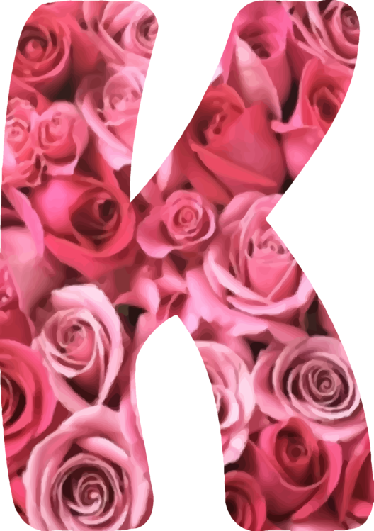 Garden Roses Flower Nokia - K Alphabet In Rose (528x749), Png Download