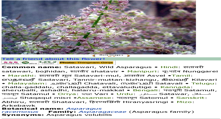 Pride Of India (1200x630), Png Download