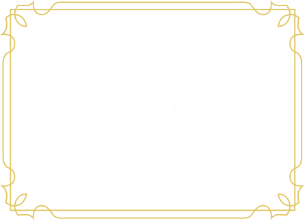 Carina Photographics Wedding Photography Gallery - Photography (445x323), Png Download