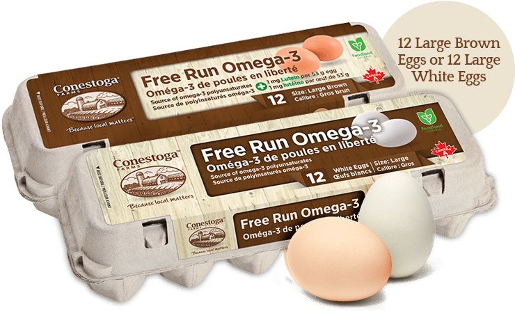 Ontario Local Free Run Omega-3 Eggs - Conestoga Free Run Eggs (800x490), Png Download