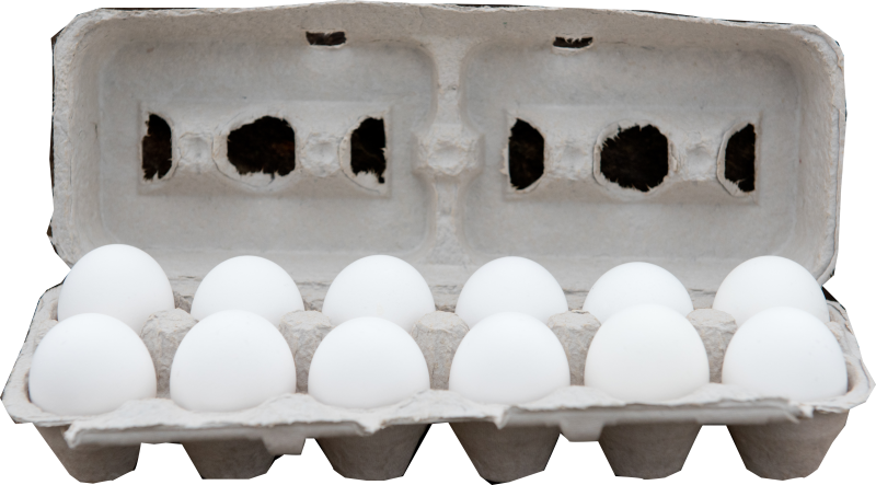 Alderfer Cage Free Eggs Come From Small, Family Farms - Snow (800x443), Png Download