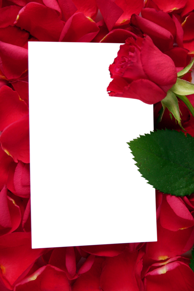 Large Transparent Vertical Frame With Red Roses - Bible Verse Tuesday Blessings (400x600), Png Download