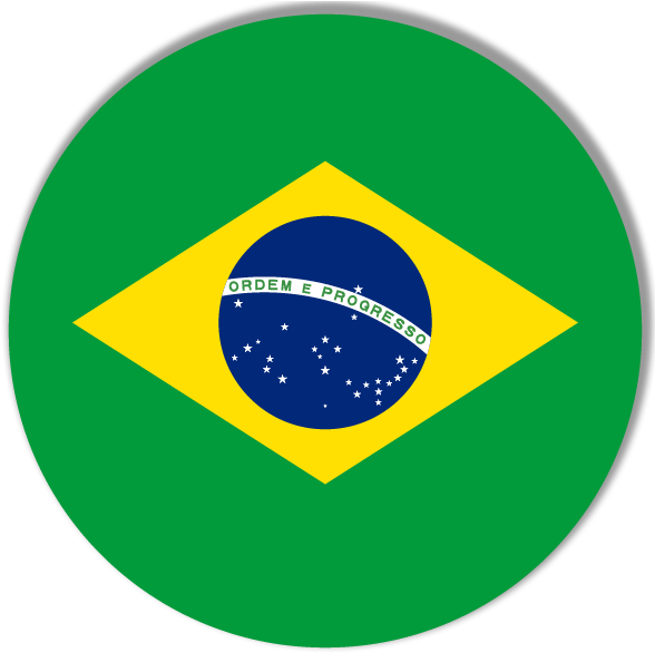 Rio De Janeiro - Brazil Flag (592x592), Png Download