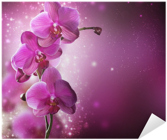 Tarjetas De Cumpleaños Con Orquideas (400x400), Png Download