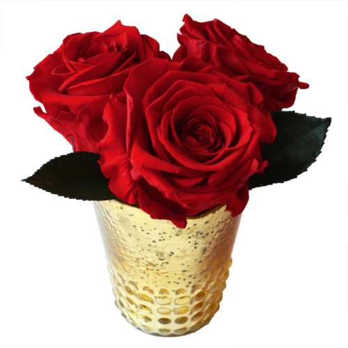 3 Rose Dotted Cup - 3 Rose (500x500), Png Download