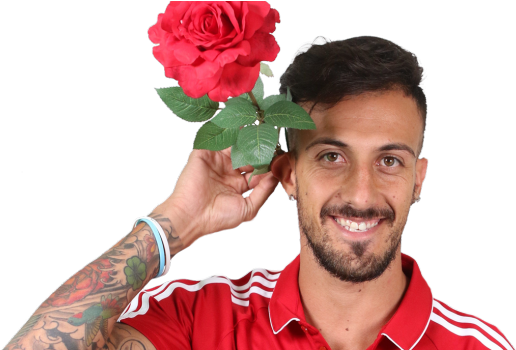 Maximiliano Urruti - Garden Roses (620x349), Png Download